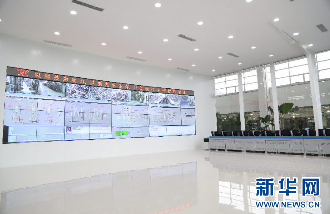 强信心·走进百企丨28圈(NG)大舞台药业：“数智化”助力中医药开启发展新篇章